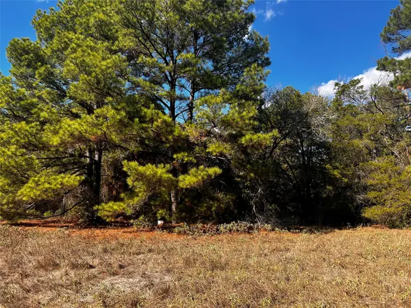 411 Laura LN, Bastrop, TX 78602