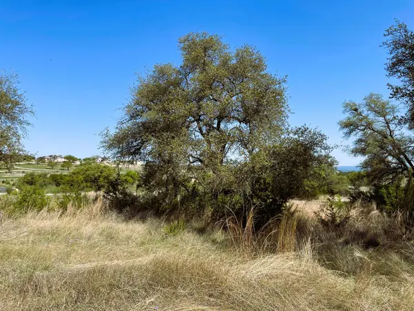 321 Cedar Mountain DR, Marble Falls, TX 78654