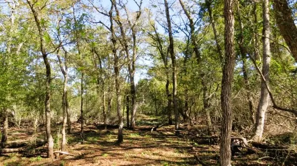 TBD Jack Rabbit LN, Hearne, TX 77859