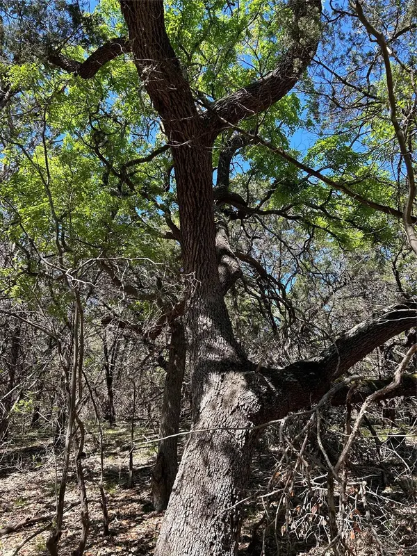 37 Heathrow LN, Wimberley, TX 78676