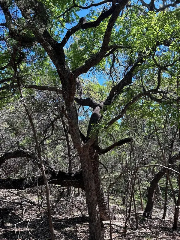 37 Heathrow LN, Wimberley, TX 78676