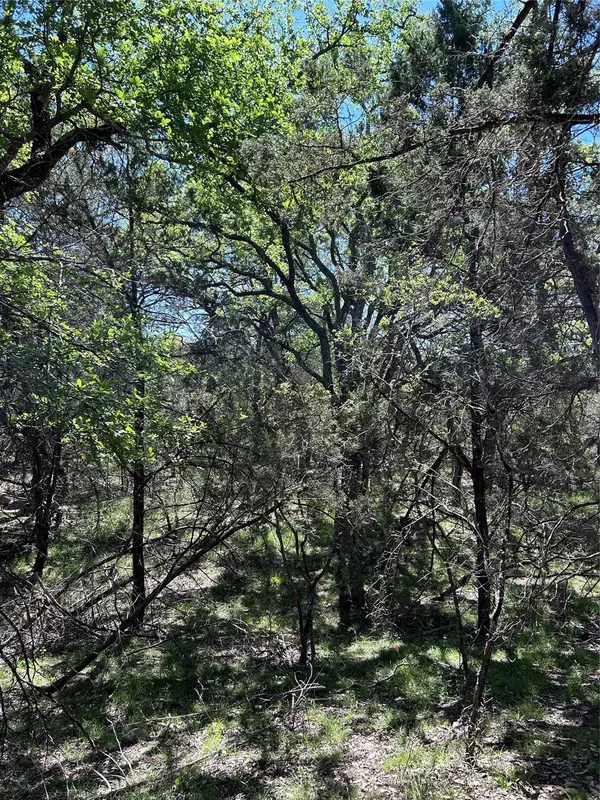 37 Heathrow LN, Wimberley, TX 78676