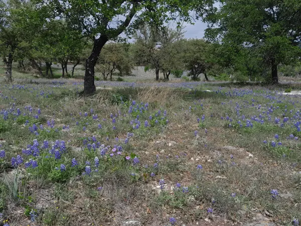 3103 Stableford CV, Spicewood, TX 78669