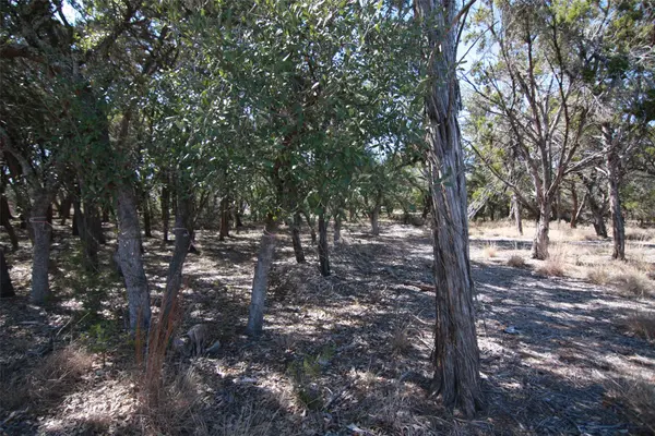150 Patricks WAY, Dripping Springs, TX 78620