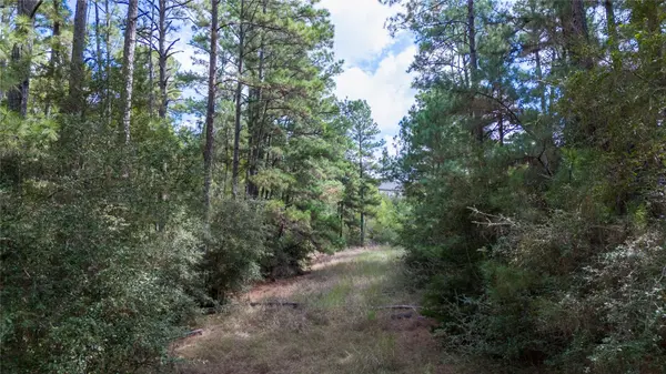 LOT 1447 Koae CT, Bastrop, TX 78602