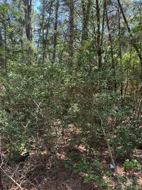 Lot 250 Hekili DR, Bastrop, TX 78602