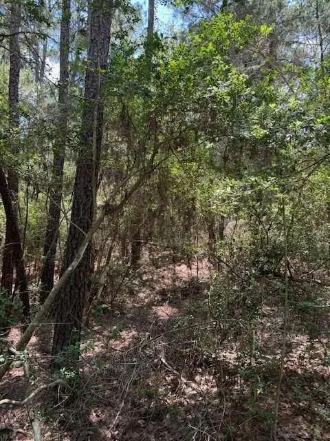 Lot 250 Hekili DR, Bastrop, TX 78602