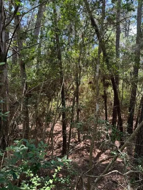 Lot 250 Hekili DR, Bastrop, TX 78602