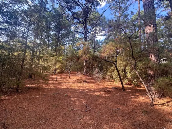 Lot 84 Hill Ridge DR, Bastrop, TX 78602