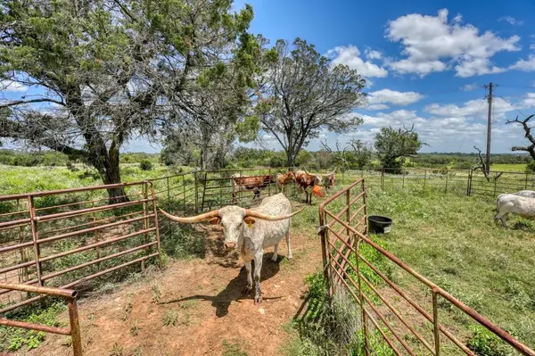 691 Grape Creek RD, Johnson City, TX 78636