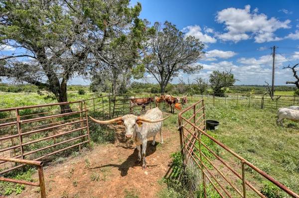 691 Grape Creek RD, Johnson City, TX 78636
