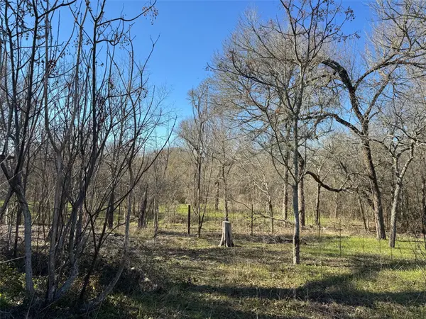 TBD TBD DR, Cedar Creek, TX 78612
