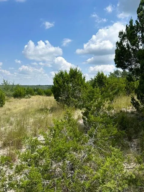 TBD Lot 1 Soaring Eagle DR, Fischer, TX 78623