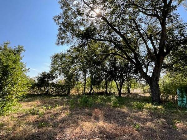 1005 W 8th ST, Cameron, TX 76520