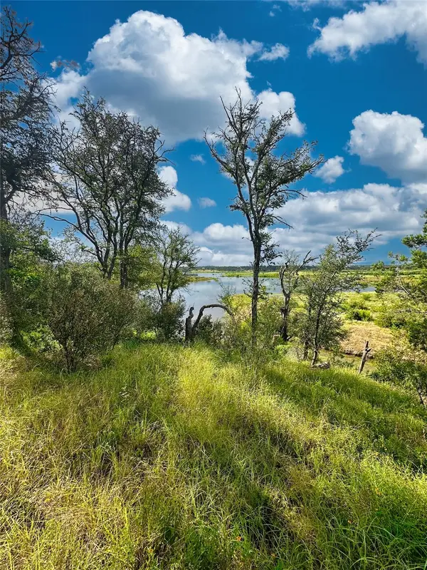29 CHIMNEY COVE DR, Marble Falls, TX 78654