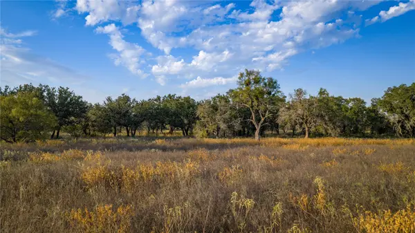 8500 Buck Ridge DR, Brady, TX 76858