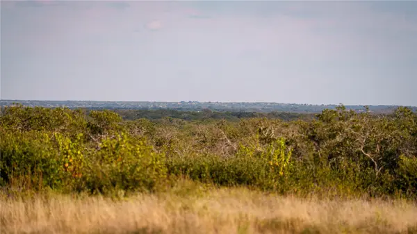 8500 Buck Ridge DR, Brady, TX 76858