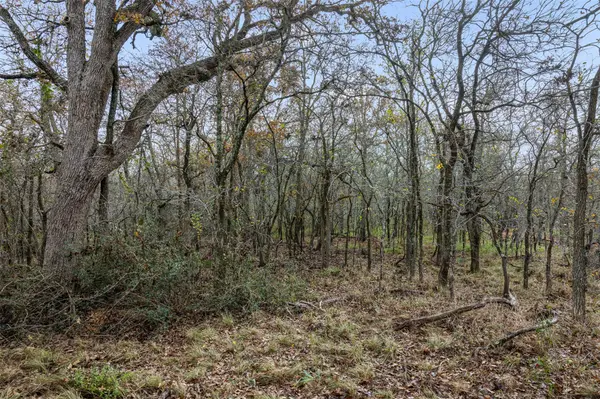 840 Bugtussle LN, Luling, TX 78648