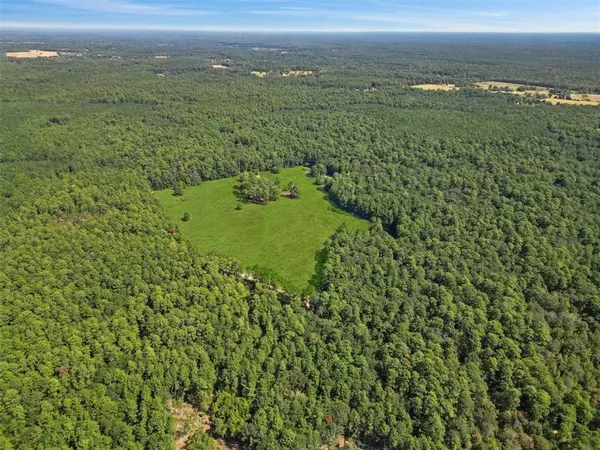00 Forest Service Road 201, Coldspring, TX 77328