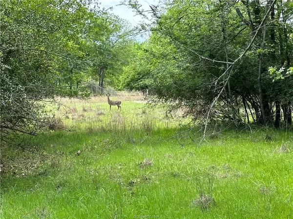 00 Hickory Loop RD, Thornton, TX 76687