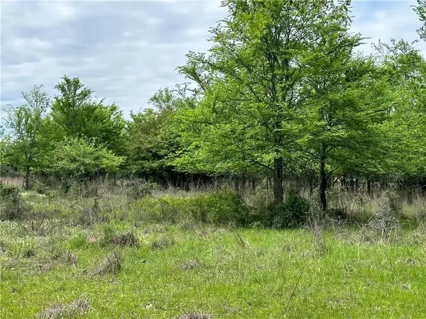 00 Hickory Loop RD, Thornton, TX 76687