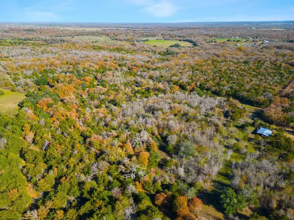 272 Deadwood RD, Cedar Creek, TX 78621