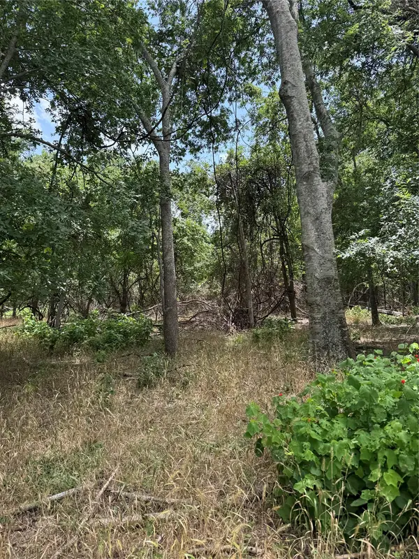 Lot 904 Kahana LN, Bastrop, TX 78602