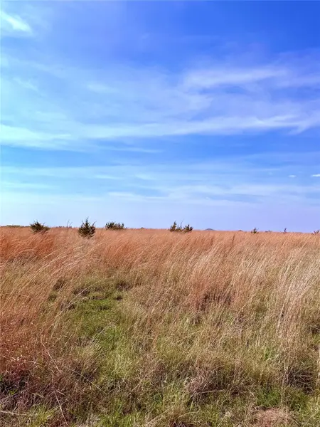 39 county road 330, Goldthwaite, TX 76844