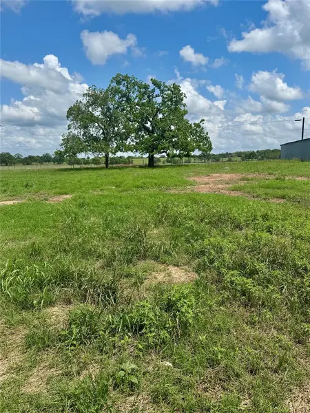 TBD Lot 10 Cardinal RD, Rosanky, TX 78953