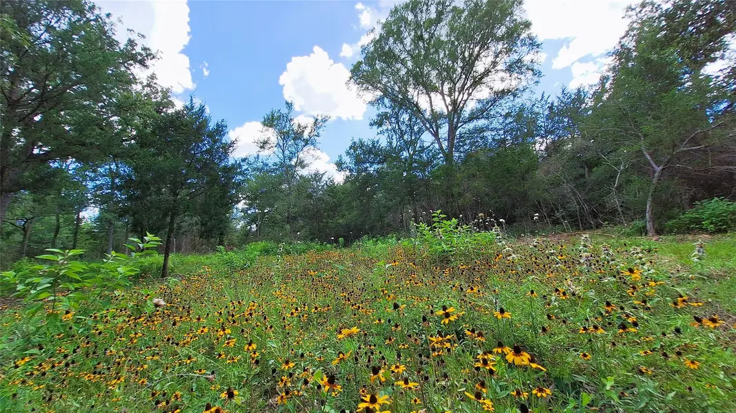 1014 Beaver Lake DR, Caldwell, TX 77836