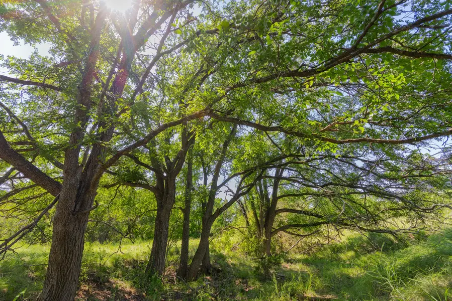 TBD County Road 180 Covered Meadows Ranch RD, Purmela, TX 76566