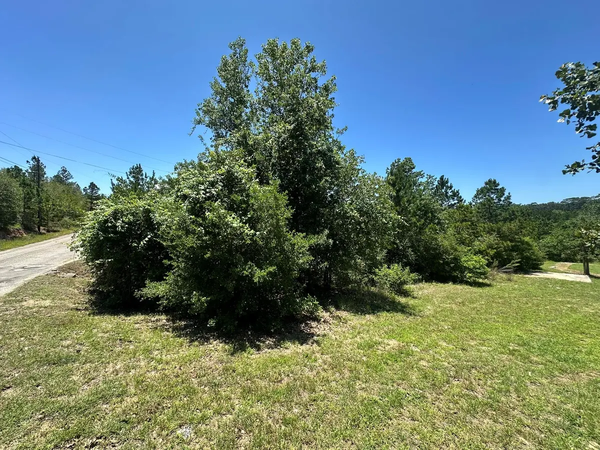 000 Manawianui DR, Bastrop, TX 78602