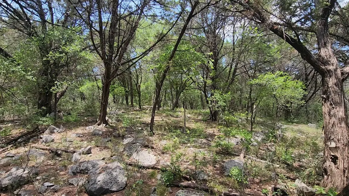 410 Owl Hollow RD, San Marcos, TX 78666
