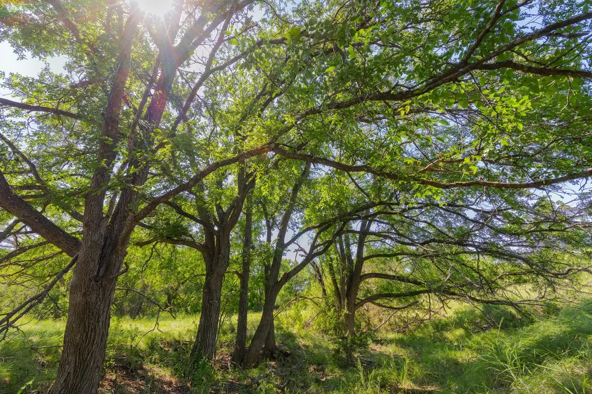 TBD County Road 180 Covered Meadows Ranch RD, Purmela, TX 76566
