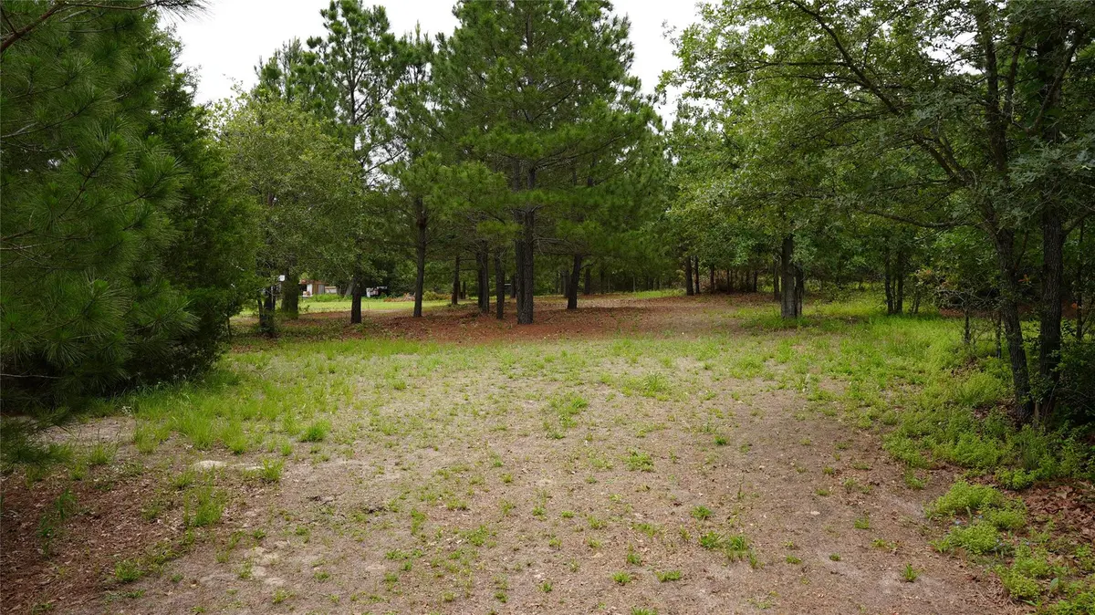 TBD Buckhorn DR, Bastrop, TX 78602