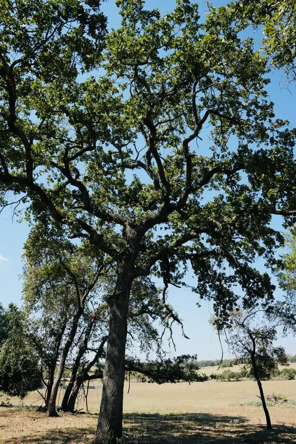 640 County Road 475 RD, Luling, TX 78648