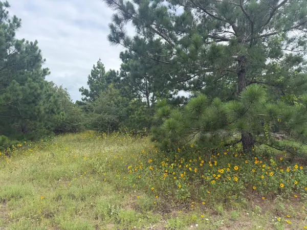 151 S Buckhorn DR, Bastrop, TX 78602