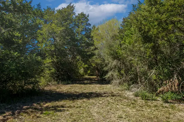 TBD Hwy 36 & CR 328, Caldwell, TX 77838