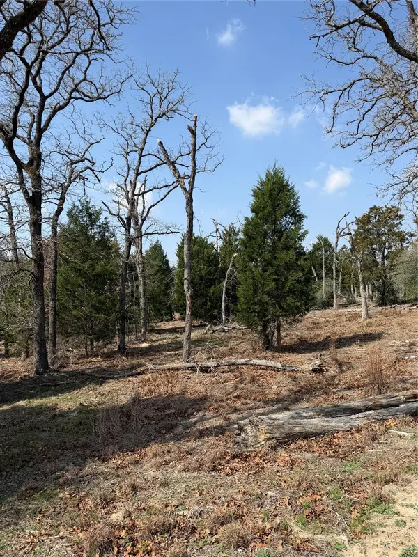 TBD N County Line RD, Elgin, TX 78621