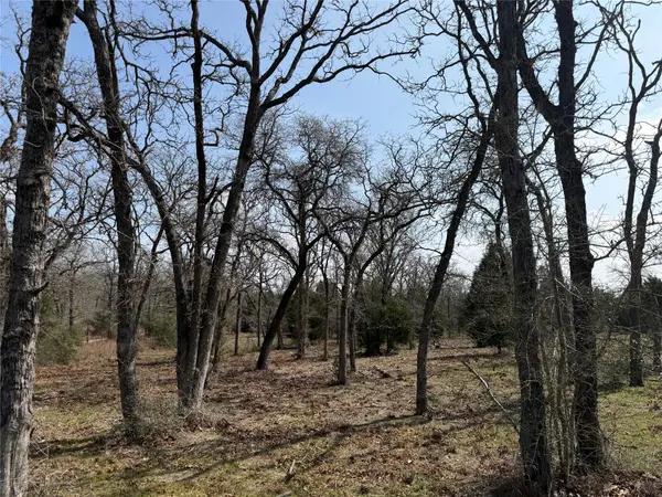 TBD N County Line RD, Elgin, TX 78621