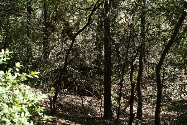 1135 Private Road 7039, Lexington, TX 78947