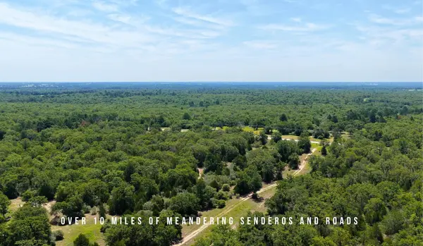 TBD County Road 405 (+/- 839 acres), Lexington, TX 78947