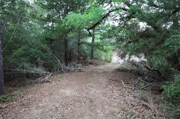 TBD Red Fox RD, La Grange, TX 78945