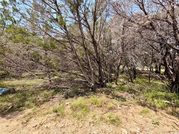21807 O'Henry Ave, Lago Vista, TX 78645