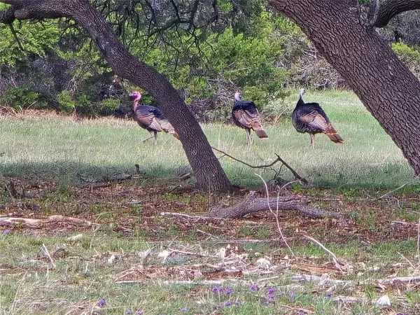 000 CR 206, Lampasas, TX 76550