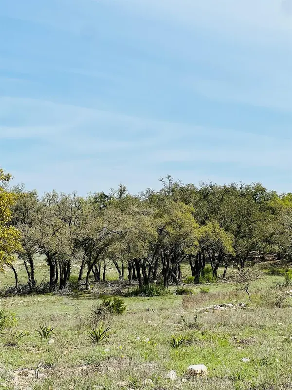 Lot 8 W Flying Owl DR, Johnson City, TX 78636