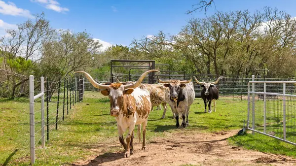 8101 FM 3237, Driftwood, TX 78619