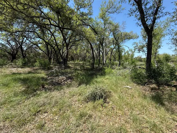 Lot 106 E Flying Owl DR, Johnson City, TX 78636