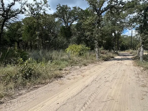 [Lot 2] 000 Jordan LN, Elgin, TX 78621