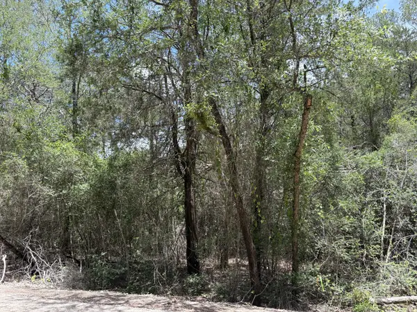 Lot 1228 & 1229 Hanauma DR, Bastrop, TX 78602